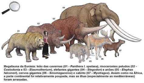 megafauna of Eurasia | Prehistoric wildlife, Prehistoric animals ...