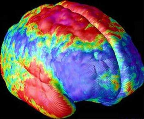 The Coming Age Of Mass Spectrometry Imaging - Drug Discovery World (DDW)