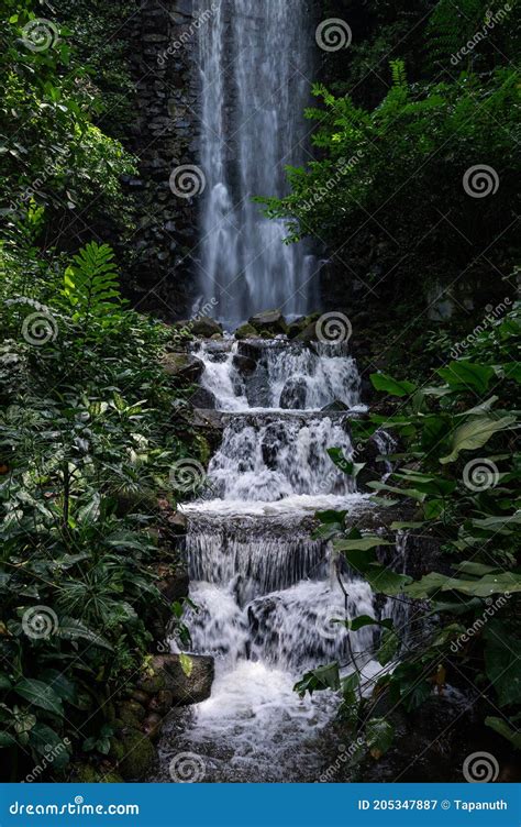 Singapore, Singapore - Dec 8, 2020: Jurong Bird Park Waterfall Aviary ...