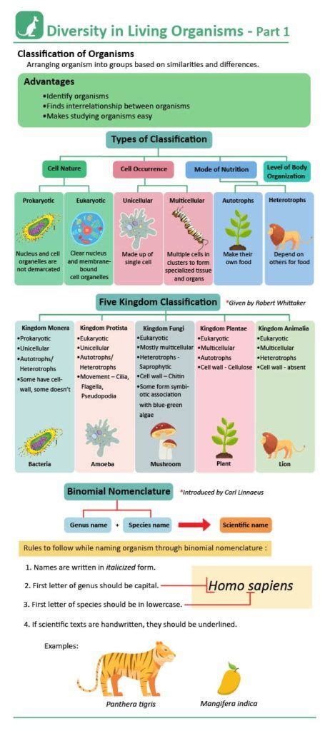 Various Types Of Classification System - Design Talk