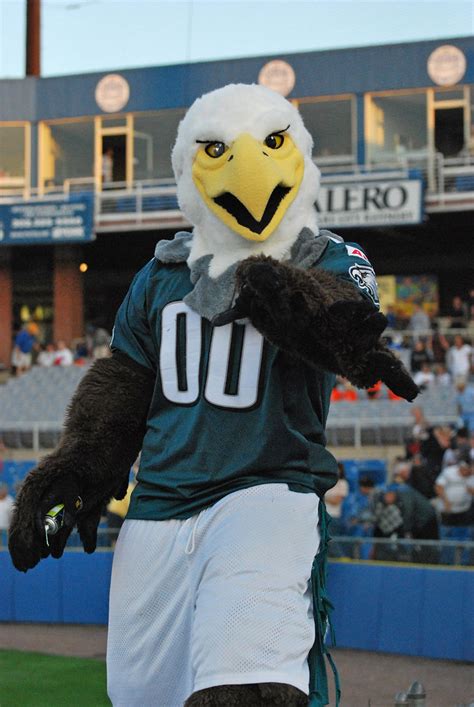 Philadelphia Eagles Mascot Swoop | Keith Lovett | Flickr