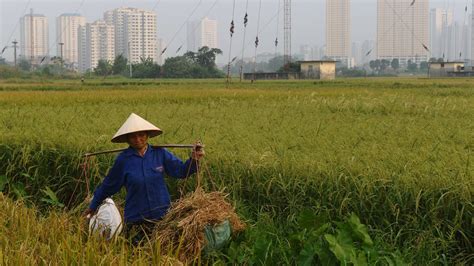 Vietnam economy grows at fastest pace in five years