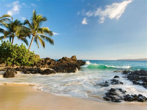 10 Best Beaches in Maui | Best beaches in maui, Maui beach, Cool places to visit