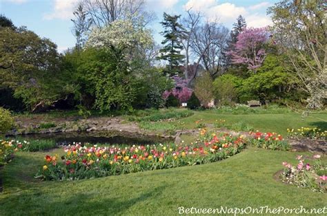 A Spring Visit to Beautiful Smith Gardens, Oakwood, Ohio in 2020 ...