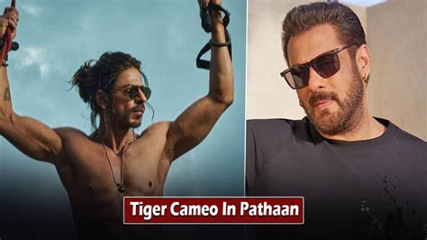 Salman Khan’s Cameo In Pathaan Overshadowed Shahrukh Khan In Movie ...