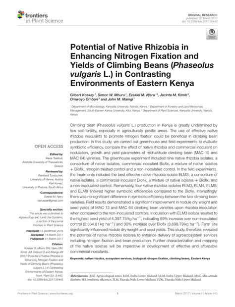 (PDF) Potential of Native Rhizobia in Enhancing Nitrogen Fixation and Yields of Climbing Beans ...