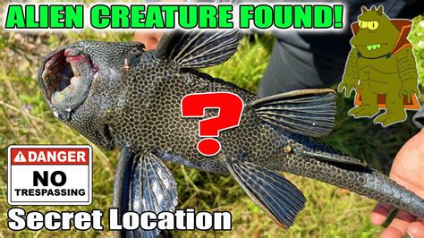 Alien Fish Species Found in Secret Location! - YouTube