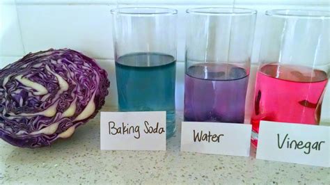 Red Cabbage pH Indicator | Kitchen Chemistry for Kids - Science Kiddo