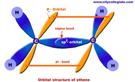 Molecular Orbital Of Ethene