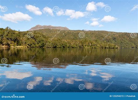 Lake Tarawera with Mount Tarawera in New Zealand Stock Photo - Image of waterbird, ducks: 125294272