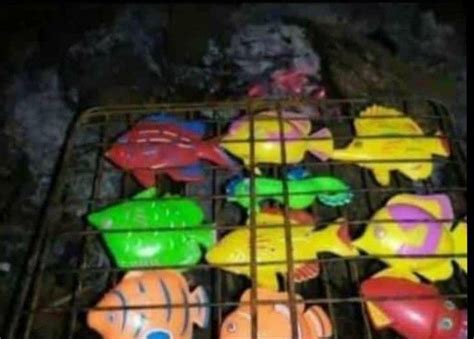 Ikan bakar in 2022 | Humor lucu, Gambar lucu, Meme | มีมตลกๆ, รูปตลก, ภาพตลก