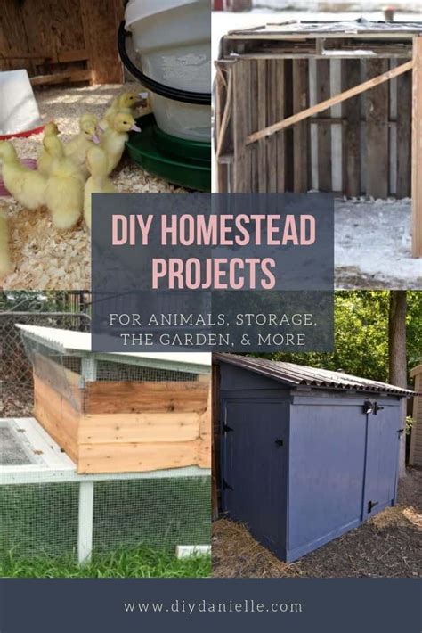 DIY Homestead Projects for Your To-Do List | Homesteading diy projects ...