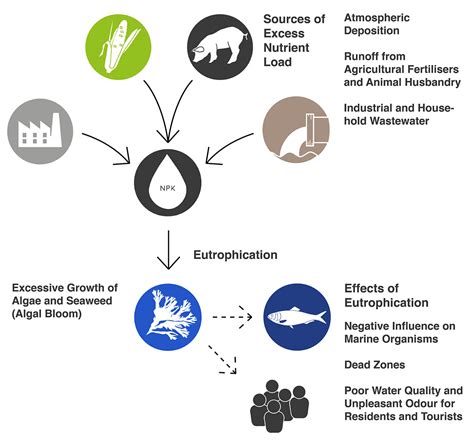 Eutrophication | COASTAL Biogas