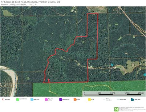 SECLUDED HUNTING LAND BORDERING HOMOCHITTO NATIONAL FOREST - Timberland ...