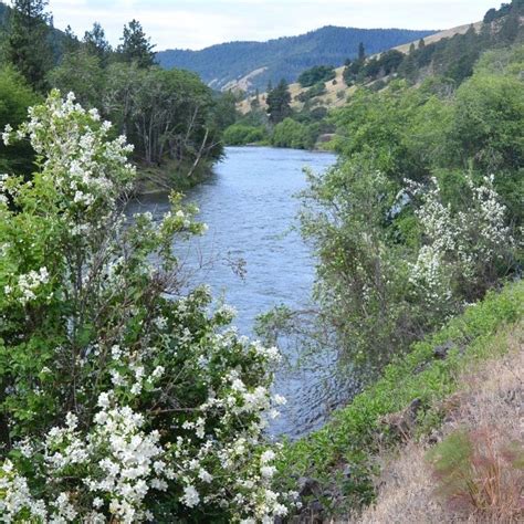 Klickitat State Park Trail | Washington State Parks