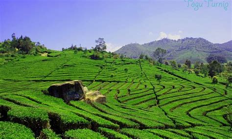 Sumedang, Indonesia 2024: Best Places to Visit - Tripadvisor