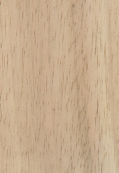 Rubberwood | The Wood Database (Hardwood)