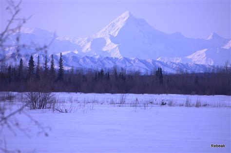 Flickriver: Most interesting photos from Salcha, Alaska, United States