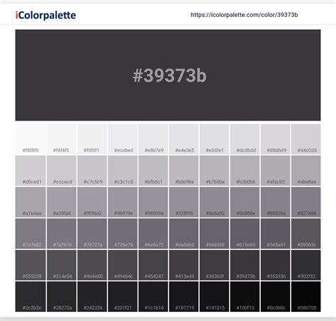 Pantone 19-4205 Tcx Phantom Color | Hex color Code #39373B information ...