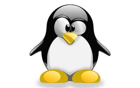 Linux Os Logo