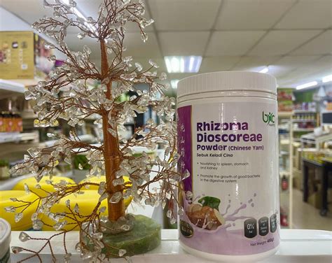 BNC- RHIZOMA DIOSCOREAE POWDER (CHINESE YAM) | Shopee Malaysia