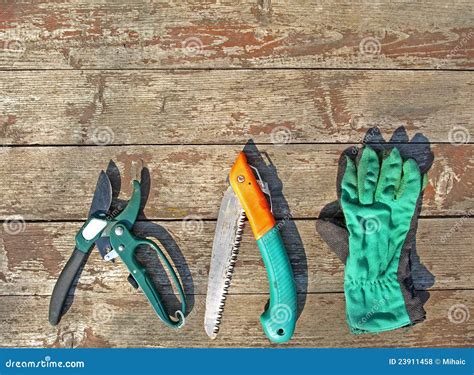 Garden tools stock photo. Image of scissor, tree, work - 23911458