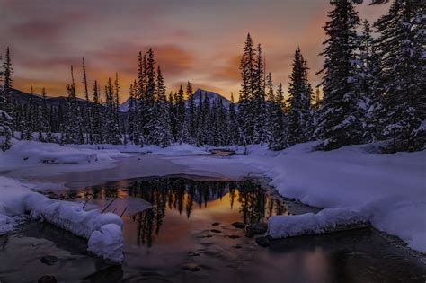 Fondos de pantalla : paisaje, bosque, puesta de sol, noche, reflexión ...