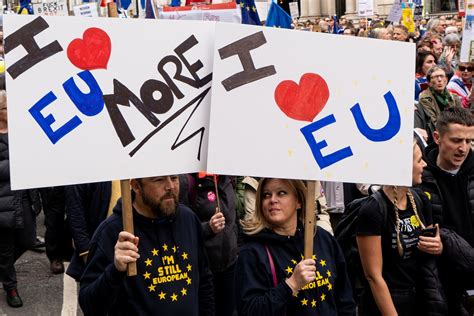 21 Very British Signs From The Massive Protest Against Brexit