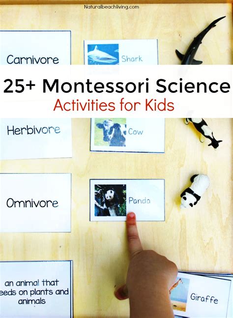 25+ Montessori Science Activities and Experiments for Kids - Natural ...