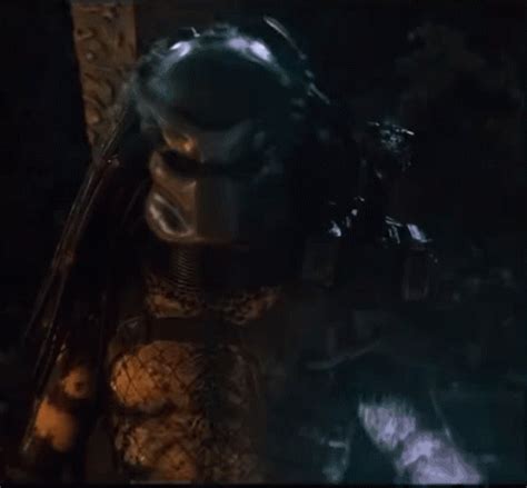 Predator GIF - Predator - Discover & Share GIFs