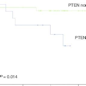 PTEN downregulation is associated with poor prognosis in patients with... | Download Scientific ...