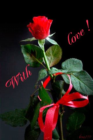 👌 Best Happy Rose Day GIF Images for BF, GF, Husband, Wife