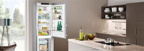 Liebherr Fridge Freezer Parts | Reviewmotors.co