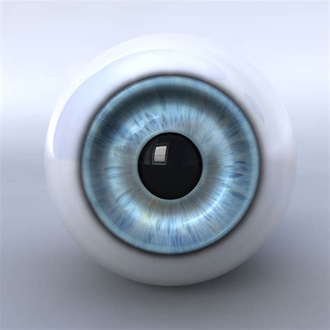 Human Eyeball 3D model | CGTrader