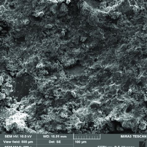 Microstructure of cement composite | Download Scientific Diagram