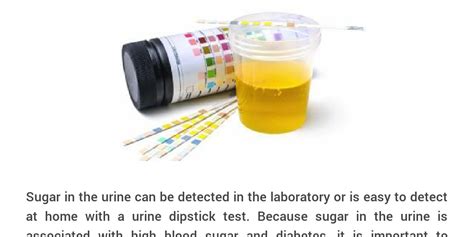 why is sugar in your urine a good indicator that you might have diabetes? - Infogram