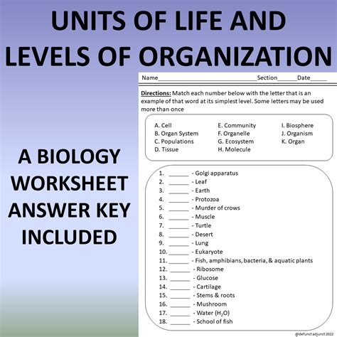 Levels of Organization of Life: A Biology Worksheet - Made By Teachers