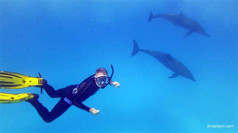 Diving Cocos Keeling Islands with Cocos Dive