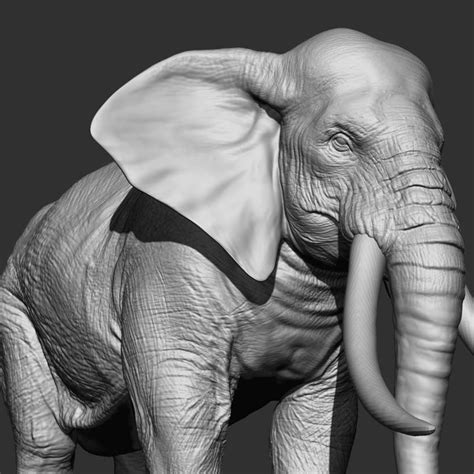 Elephant 3D Model $199 - .obj .max .ma .c4d .ztl .unknown - Free3D