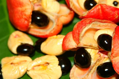 Ackee Fruit