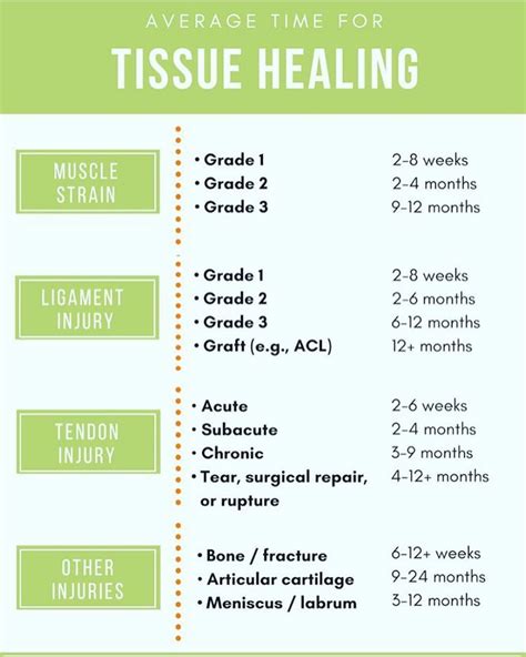 Grade 2 Ligament Tear Recovery Time - Anterior Cruciate Ligament (ACL ...