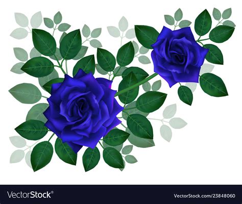 Bouquet of beautiful blue roses and leaves floral Vector Image