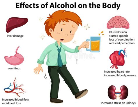 Effects of Alcohol on the Body Stock Vector - Illustration of background, kidney: 119869852