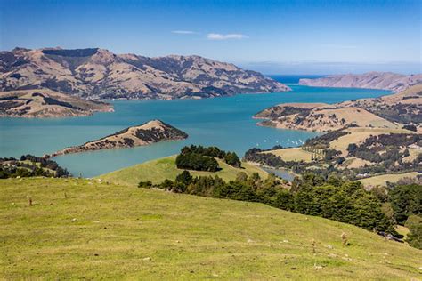 Akaroa Harbour | Harald Selke | Flickr