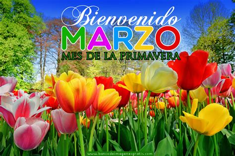 Bienvenido Marzo - Imágenes con mensajes para recibir al mes de la ...