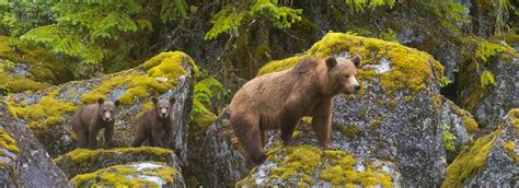 Juneau To Juneau - Alaska Charters