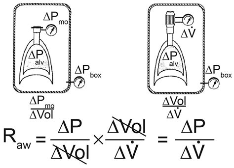 What Does Airway Resistance Tell Us About Lung Function? | Respiratory Care