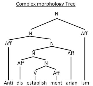 Teaching and Learning of Morphology