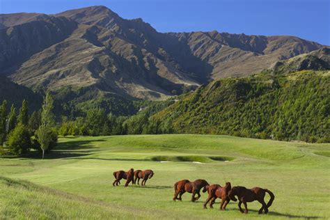 The Hills Golf Club | Official Queenstown Website