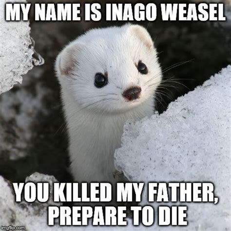 grump weasel Memes - Imgflip